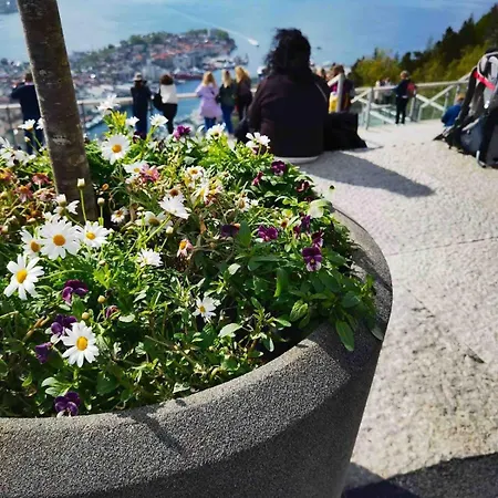 Semesterbostad Floien -free Parking Bergen