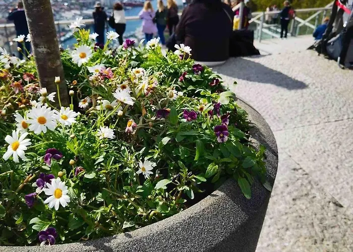 Holiday home Floien -free Parking Bergen